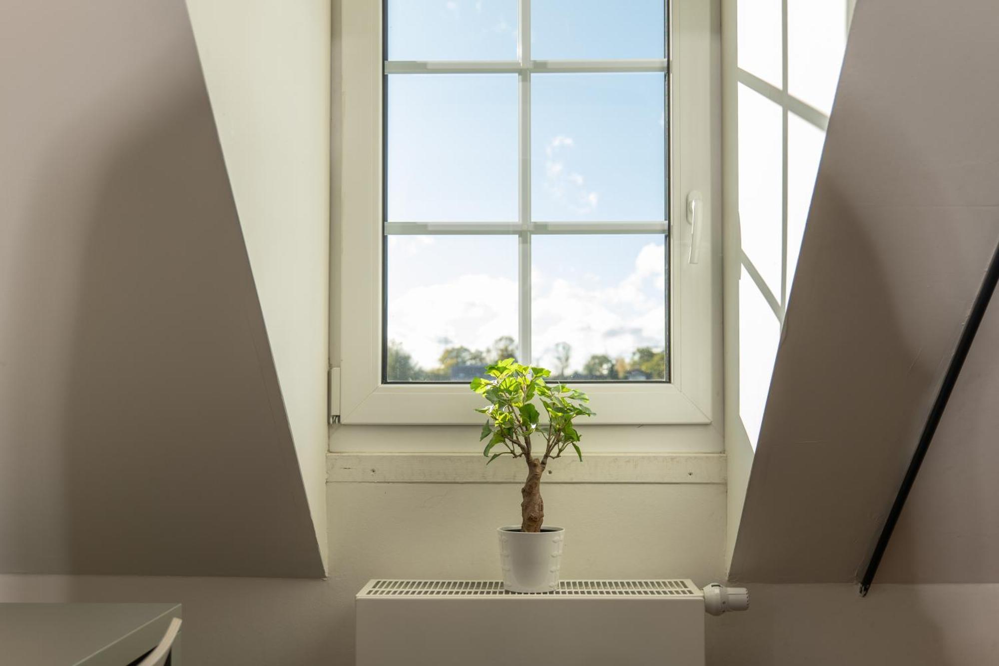 Haus Overbach Jülich Buitenkant foto